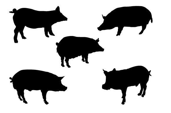 Download Pig SVG Graphic Design - Premium Resources